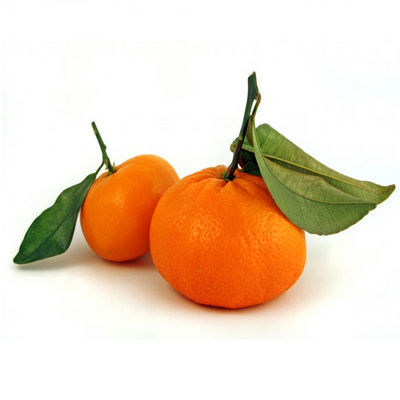 Mandarinas 24 Kg